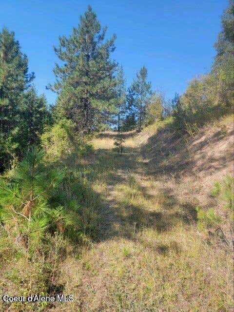 Photo of NKA Smelterville, Smelterville, ID 83868 (MLS # 26-5696)