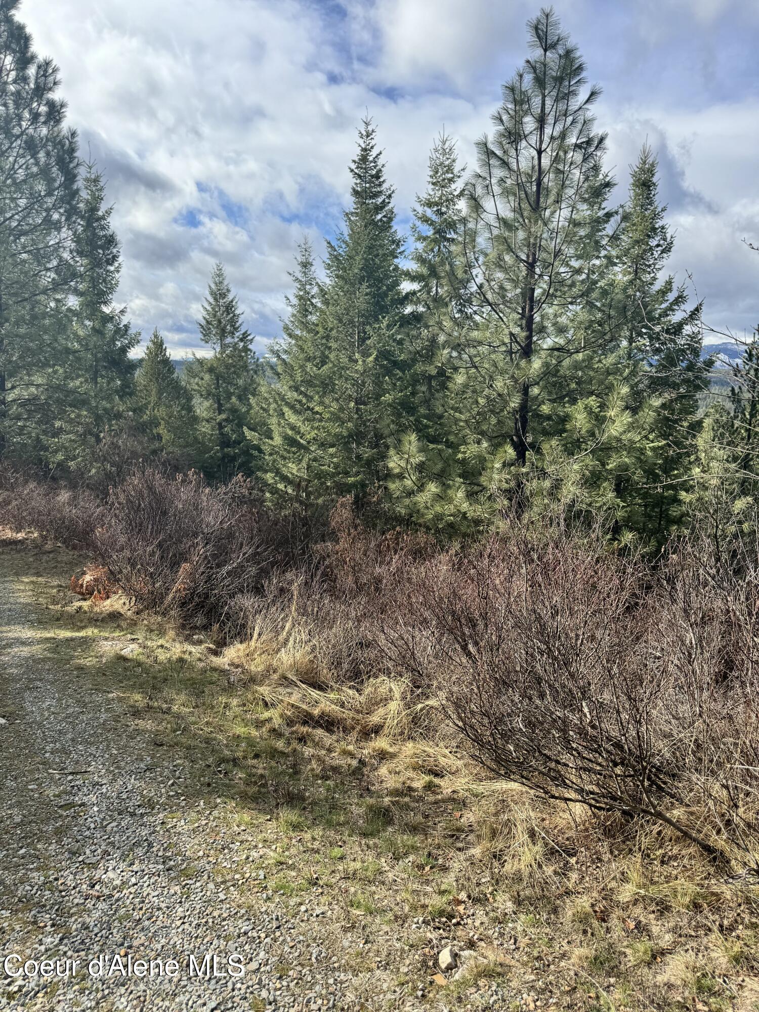 NNA E Quiet Heights, Athol, Idaho image 9