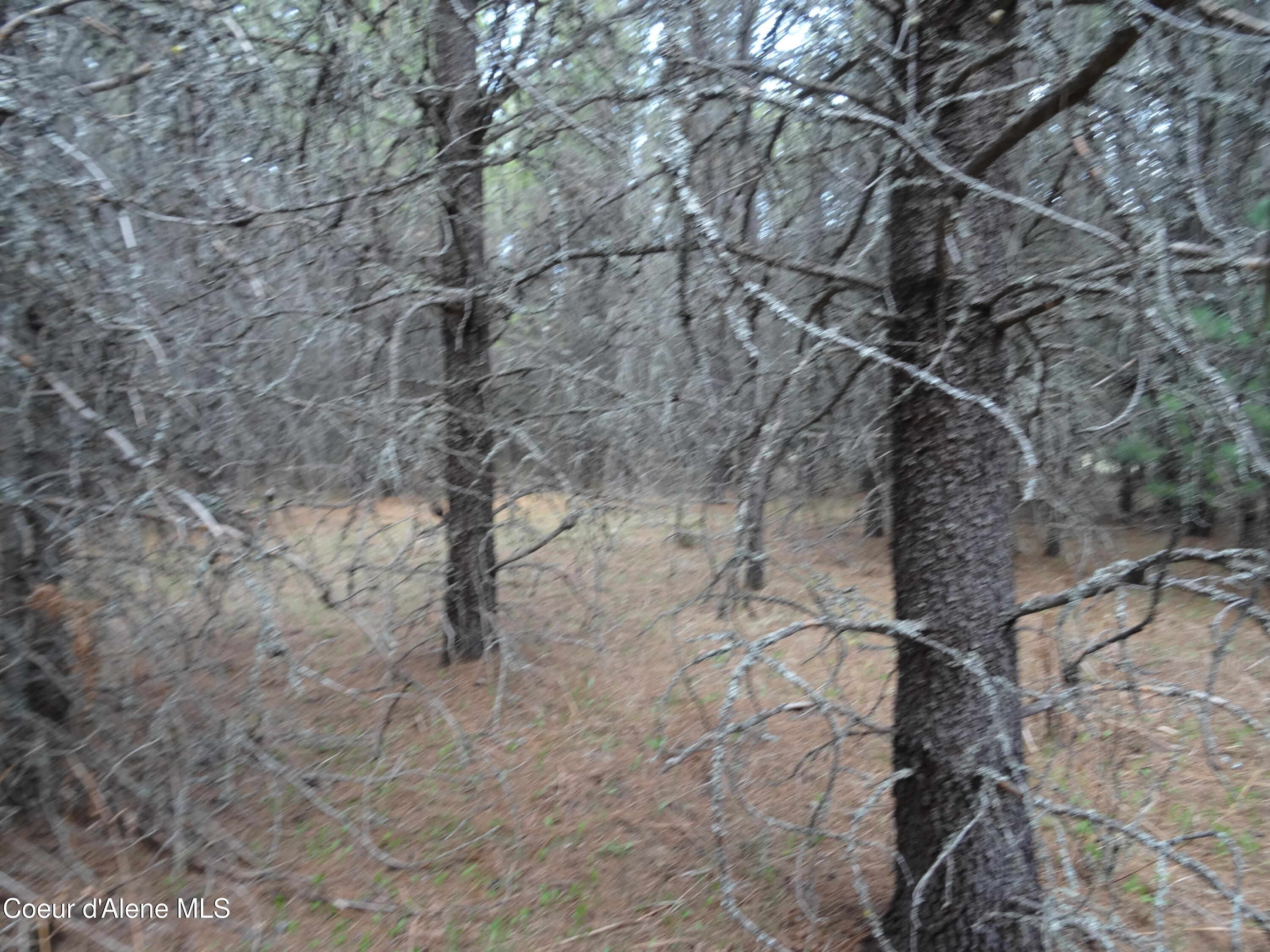 33 Katelyn Kourt Ln, Priest River, Alaska image 7