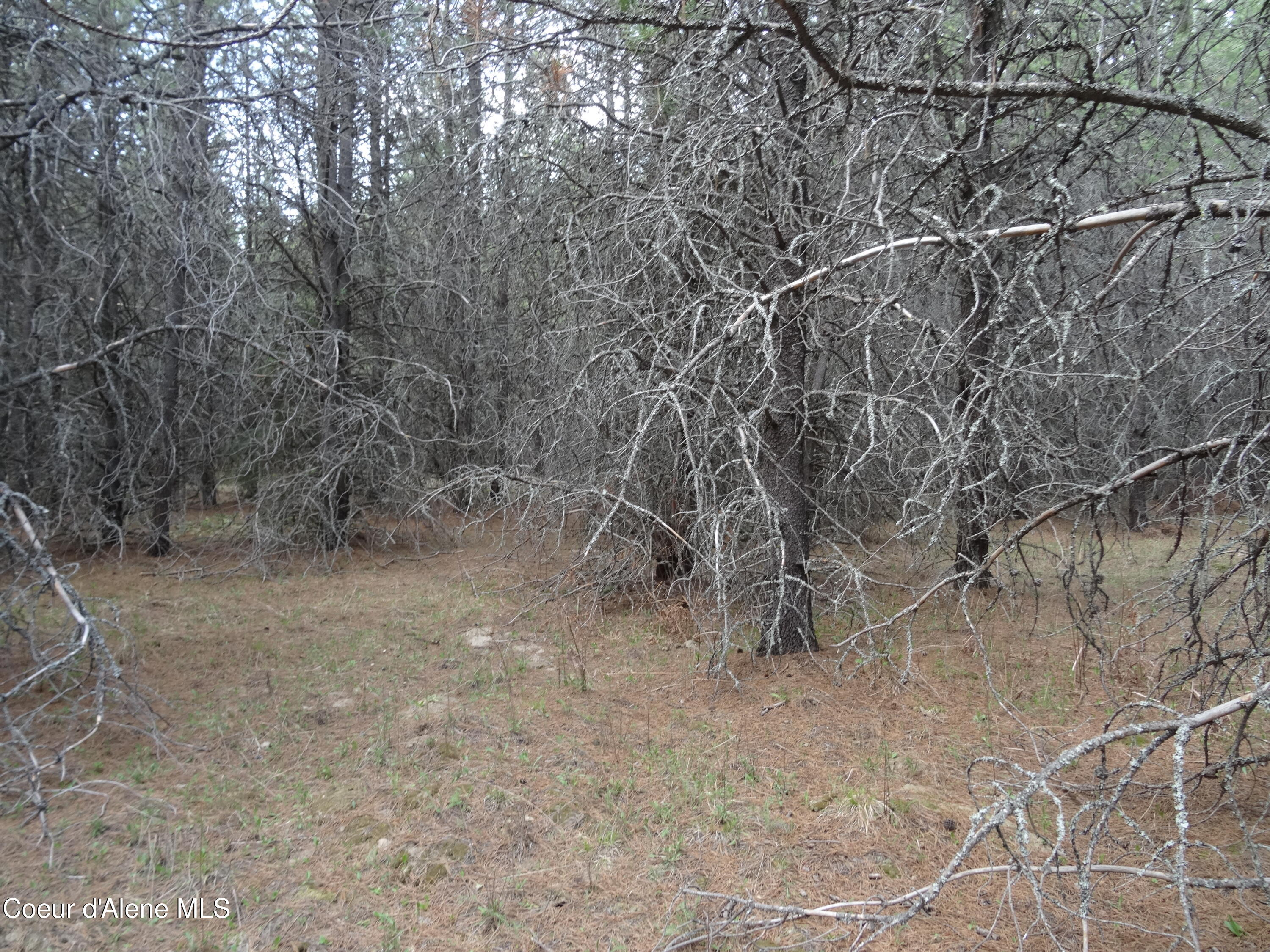 33 Katelyn Kourt Ln, Priest River, Alaska image 8