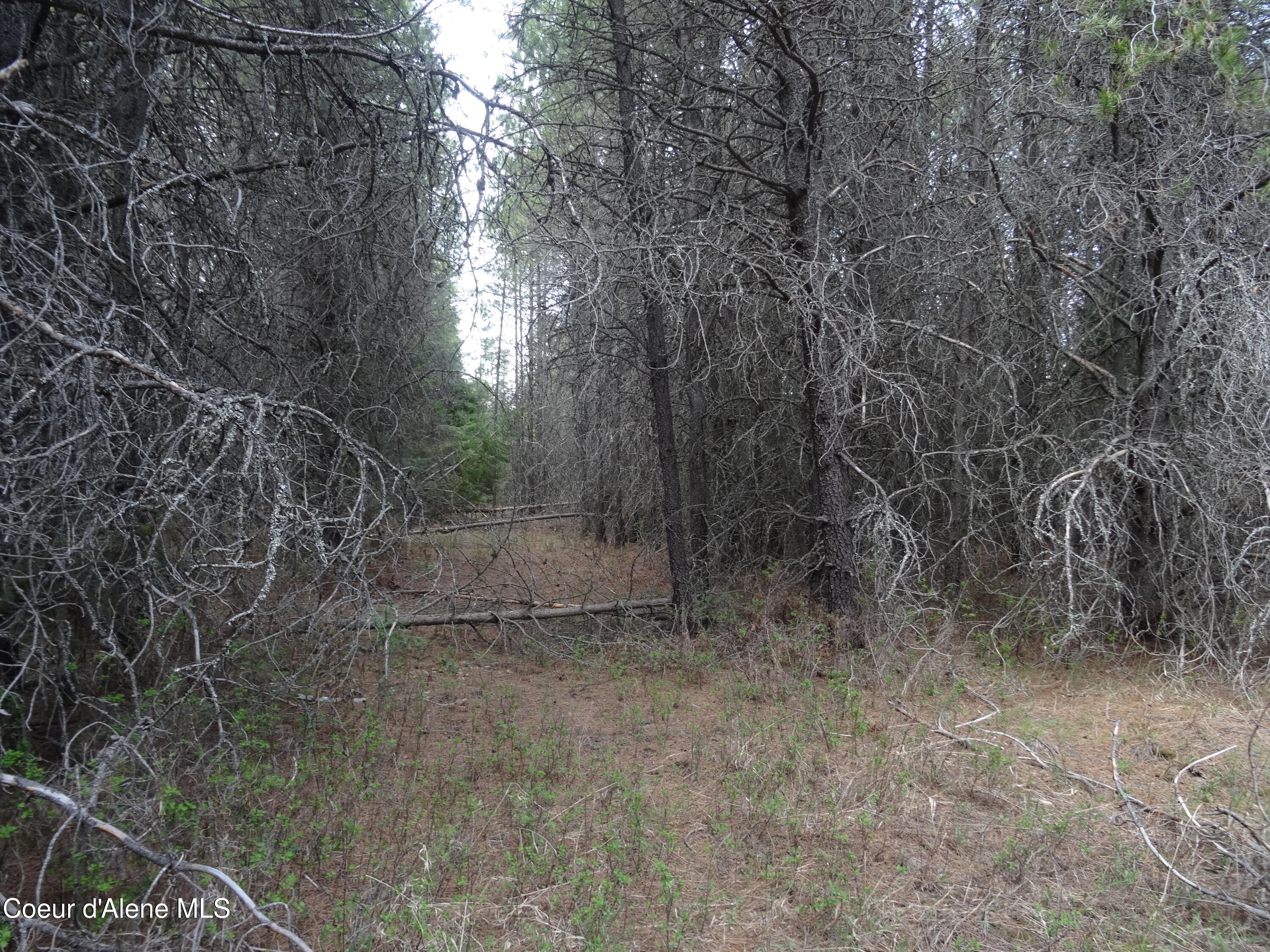33 Katelyn Kourt Ln, Priest River, Alaska image 6