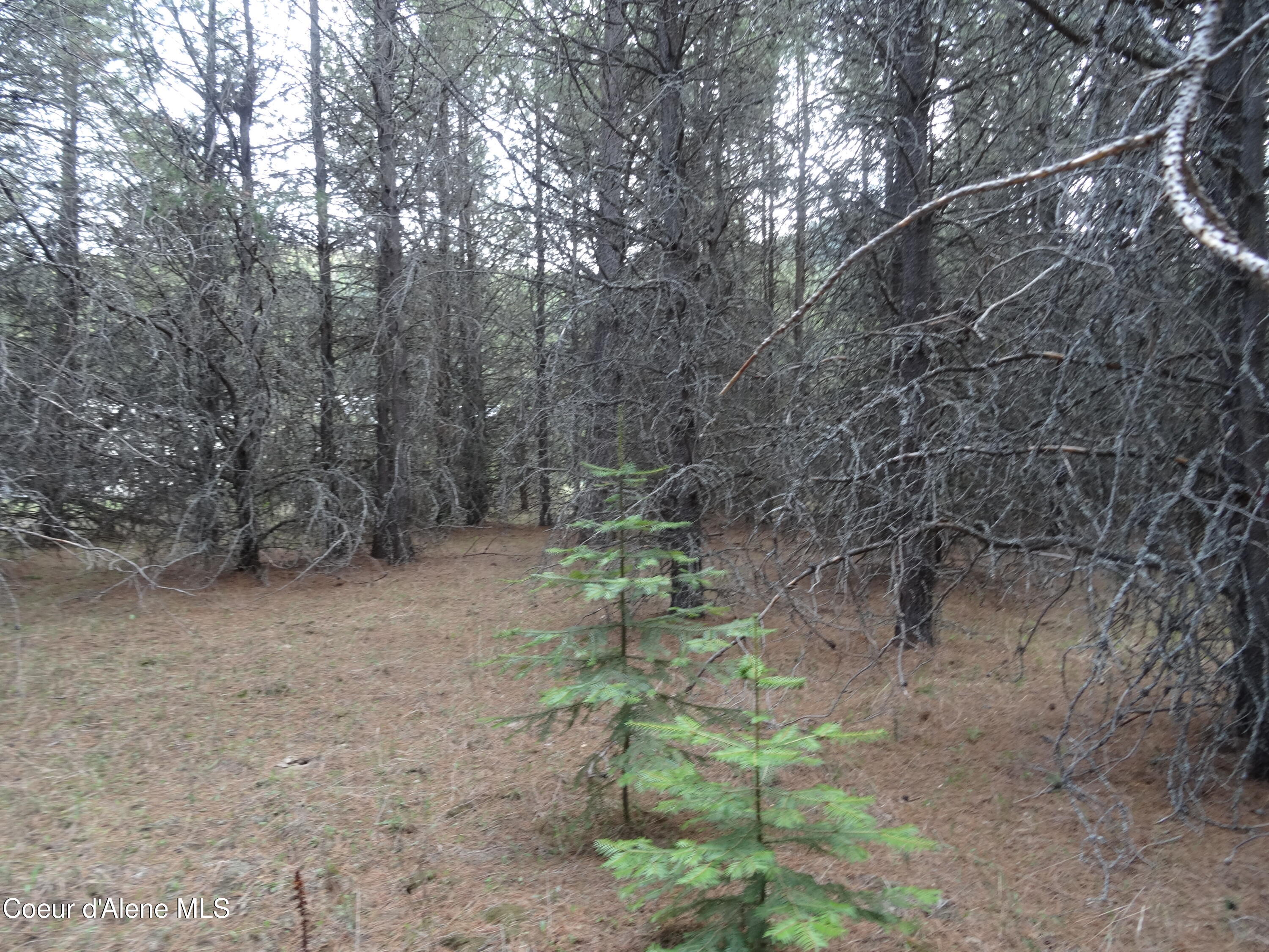 33 Katelyn Kourt Ln, Priest River, Alaska image 10