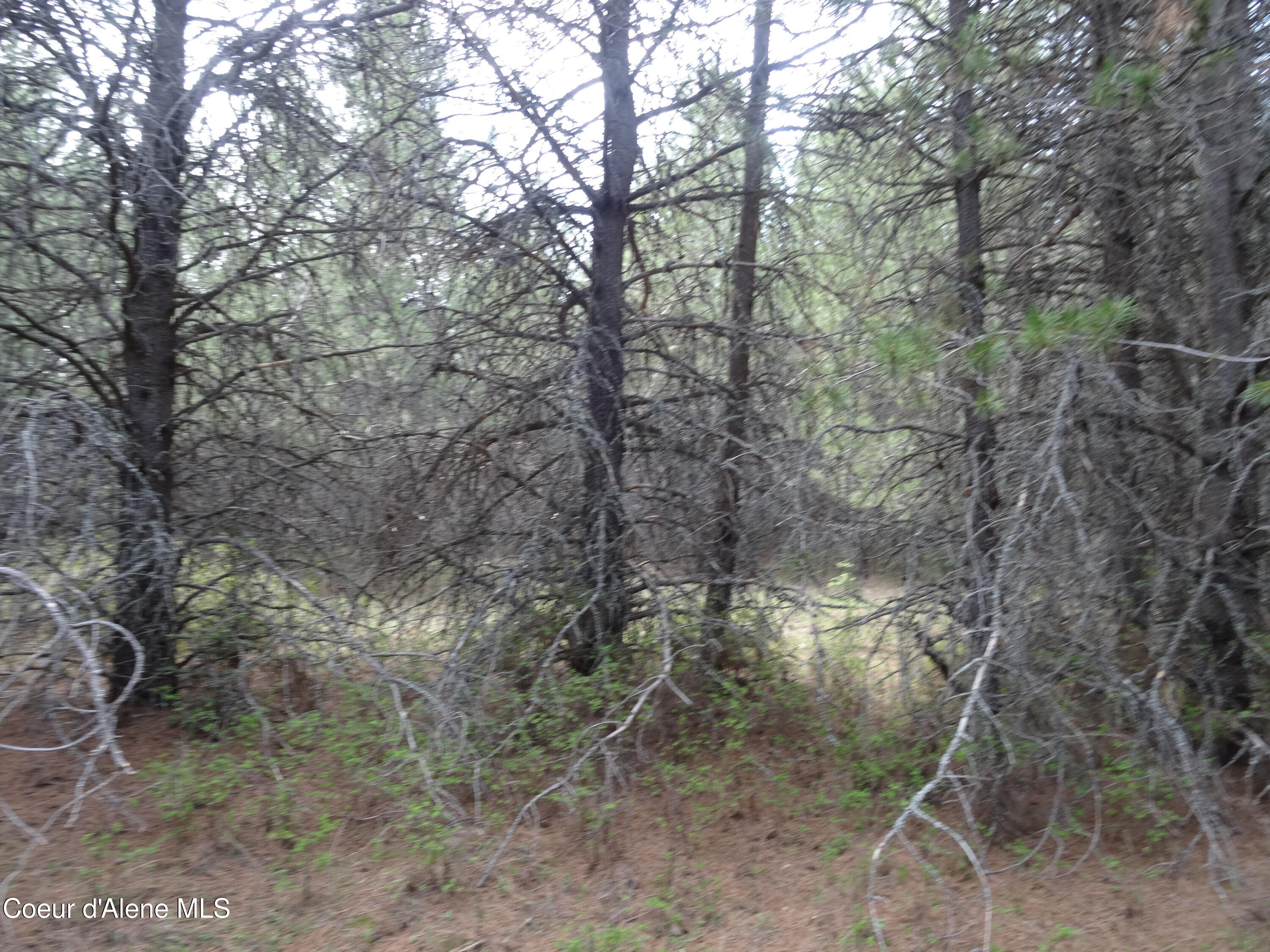 33 Katelyn Kourt Ln, Priest River, Alaska image 9