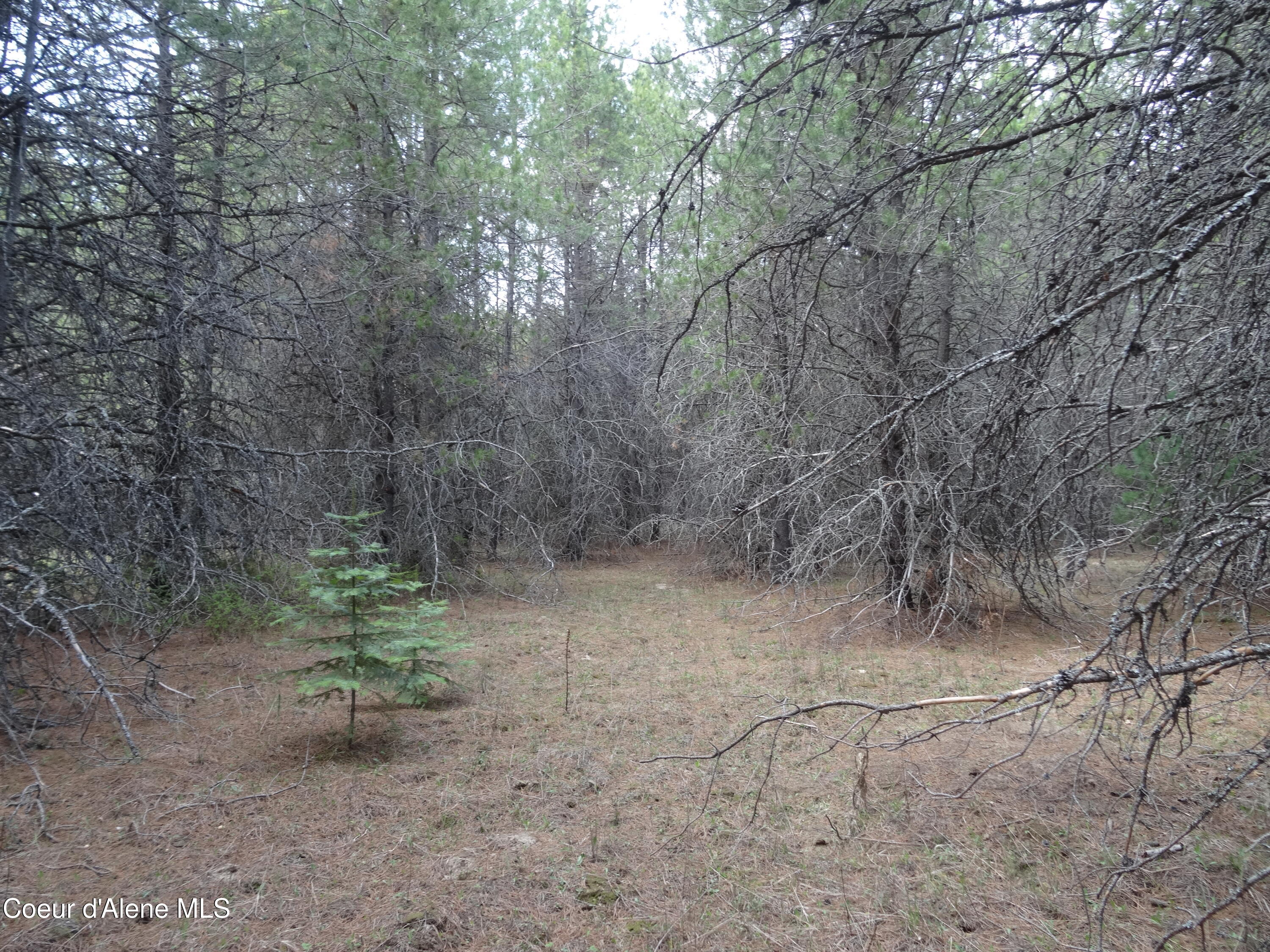 33 Katelyn Kourt Ln, Priest River, Alaska image 11