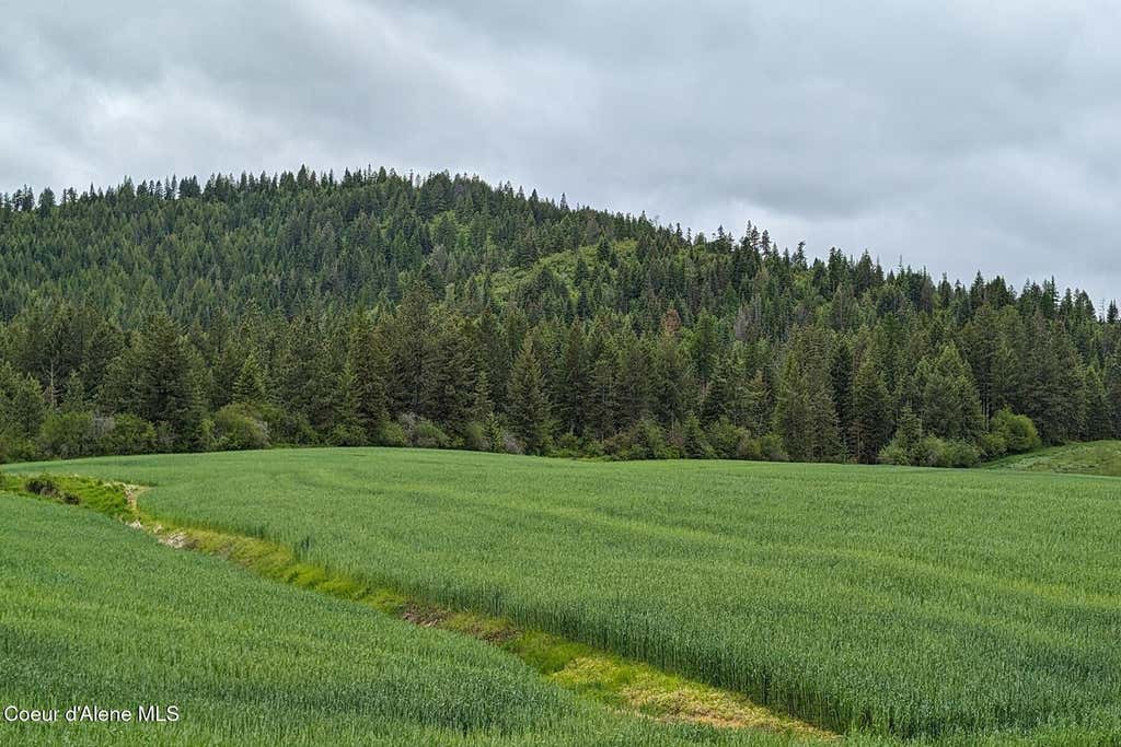 Photo of 352 Camarillo LN, Plummer, ID 83851 (MLS # 26-8649)