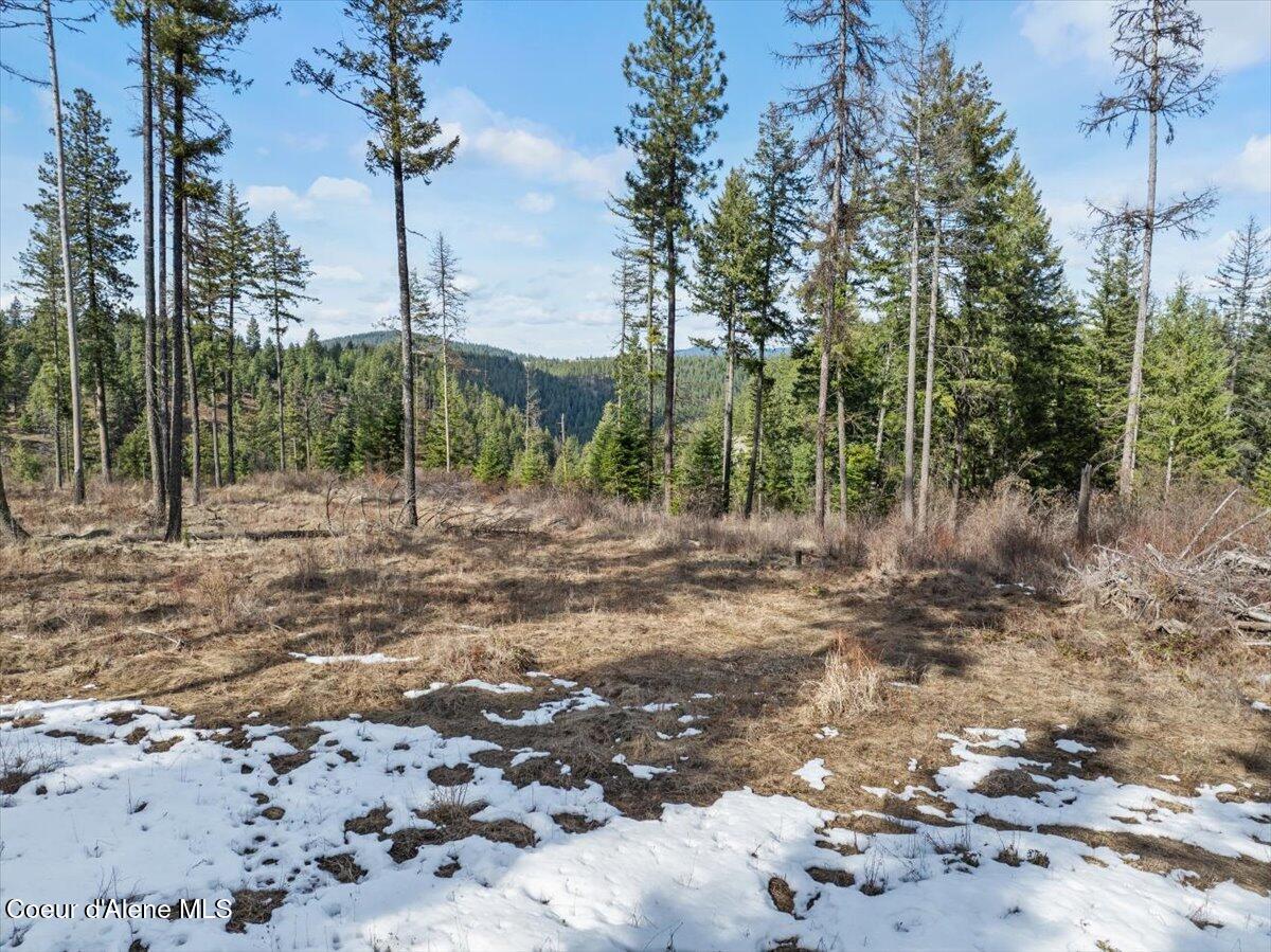 NKA-40 AC W Conkling Rd, Worley, Idaho image 33