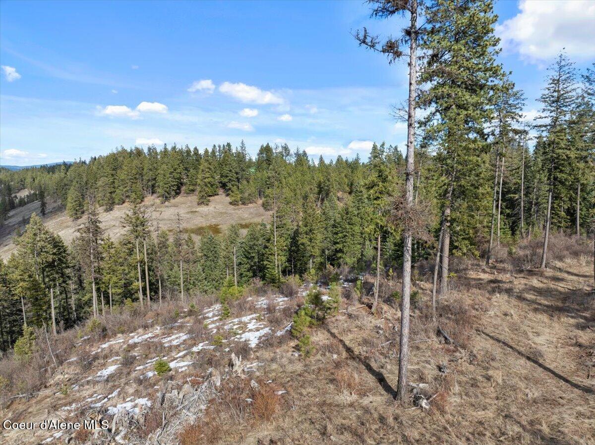 NKA-40 AC W Conkling Rd, Worley, Idaho image 30