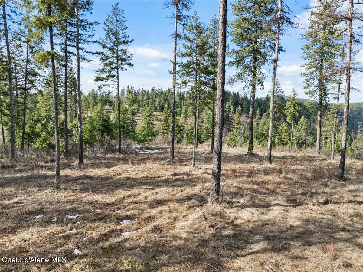 NKA-40 AC W Conkling Rd, Worley, Idaho image 2