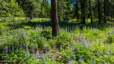Vacant Land For Sale - TBD Kreiger Creek Rd Lot 2<br/> Careywood, ID 83809