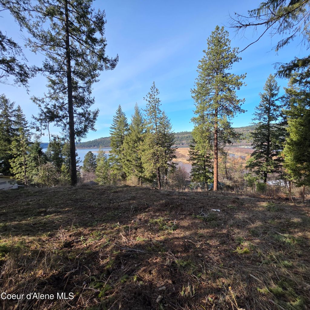 Photo of NKA Garfeild, Harrison, ID 83833 (MLS # 26-4312)