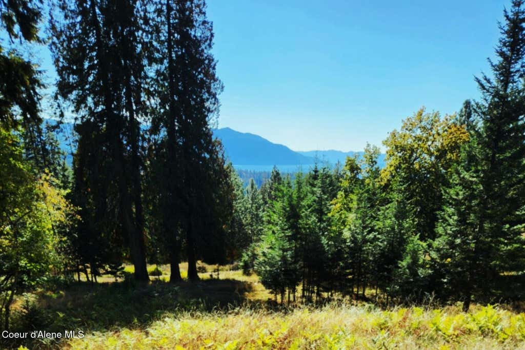 Photo of NKA Enchanted Forest Ln (Lot 3), Hope, ID 83836 (MLS # 26-6622)