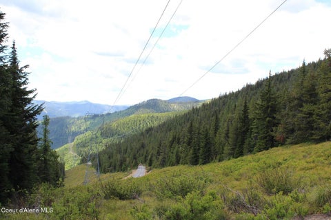 Vacant Land For Sale - 19A Last Chance Bullion Creek Creek<br/> Mullan, ID 83846
