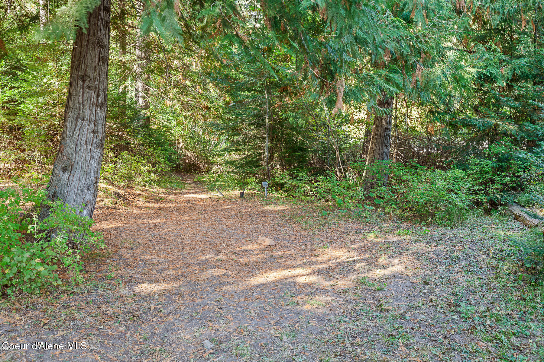 16798 W Left Fork, Hauser, Alaska image 26