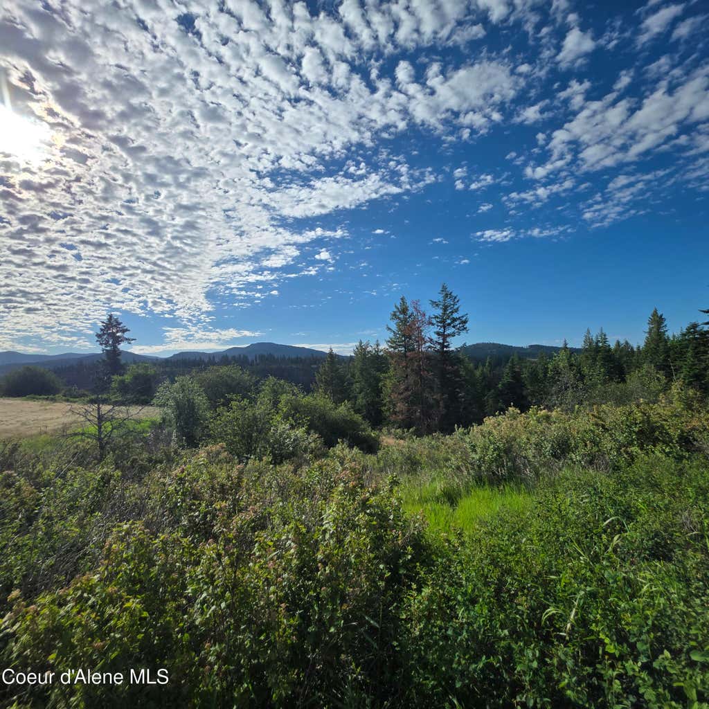 Photo of NKA 5 Sunrise, Harrison, ID 83833 (MLS # 26-6280)