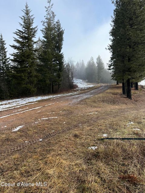 Vacant Land For Sale - 11 & 13 Kingston<br/> Kingston, ID 83839