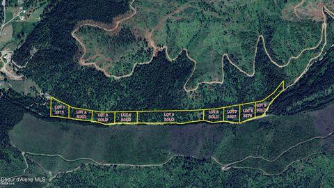 Vacant Land For Sale - 2815 Bear Creek Creek<br/> Kingston, ID 83839