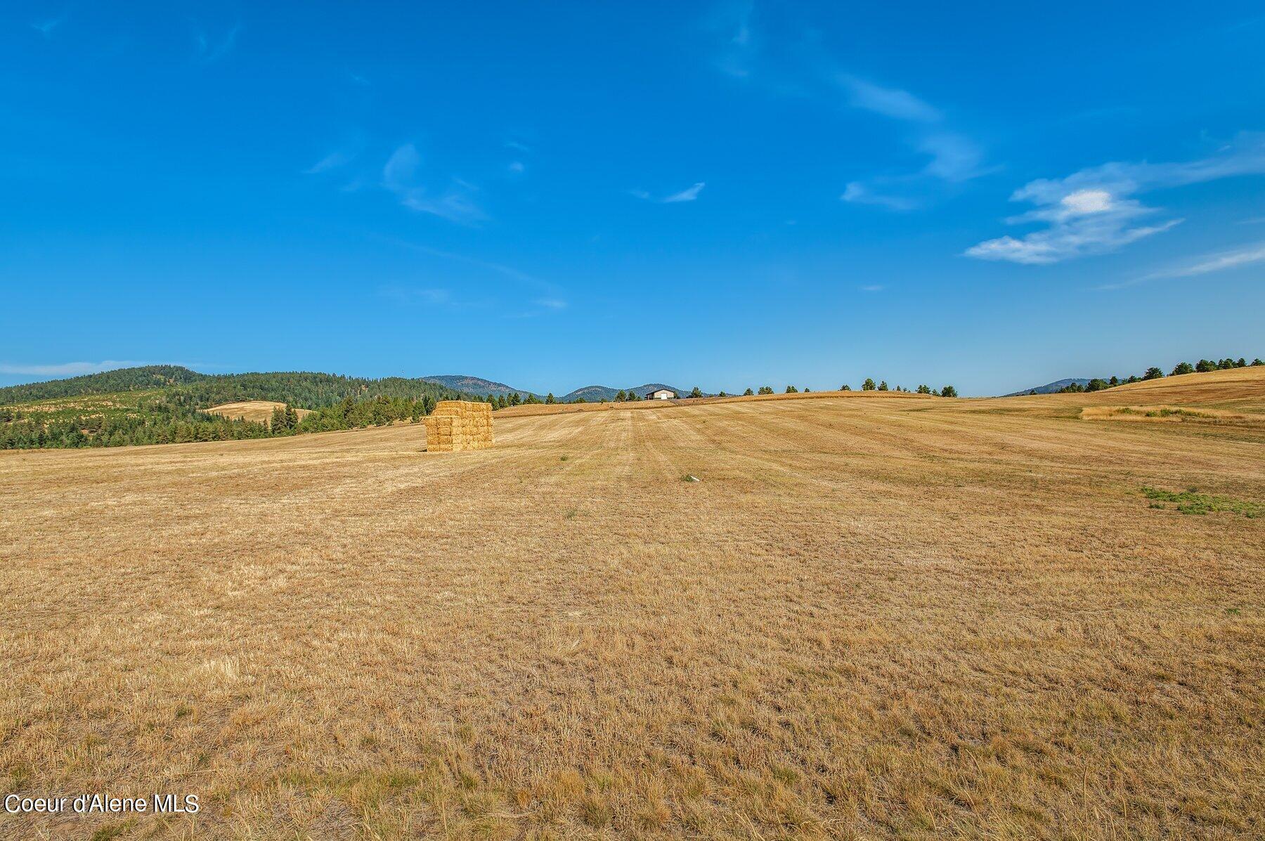 NKA Miskin Road Lot 6, Worley, Idaho image 5