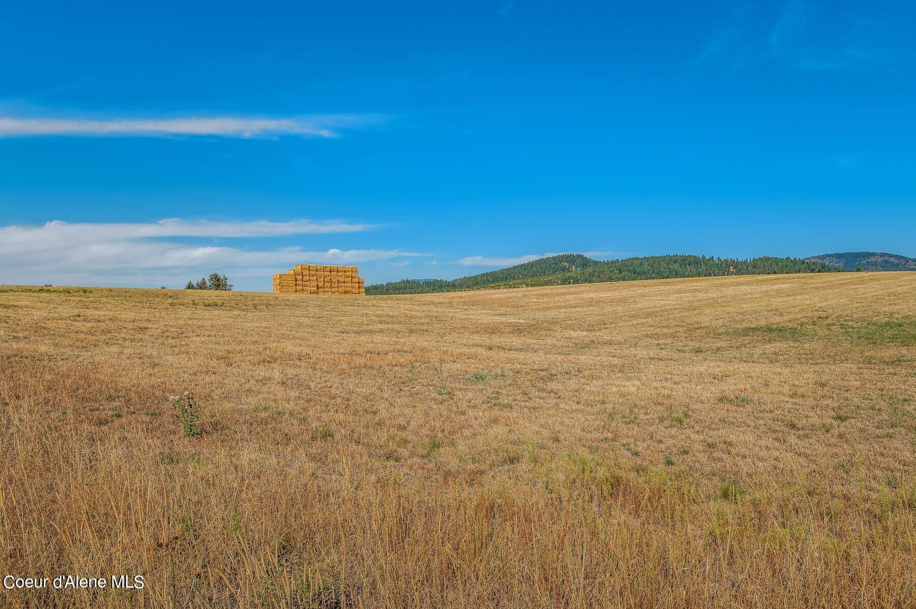 NKA Miskin Road Lot 6, Worley, Idaho image 6