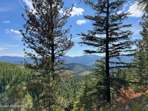 Vacant Land For Sale - 1425 Upriver View View<br/> Fernwood, ID 83830