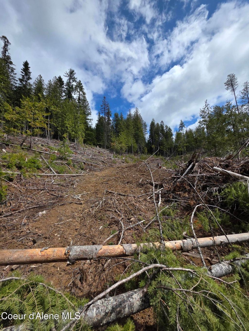 Photo of NNA Cabin Loop Loop, St. Maries, ID 83861 (MLS # 26-4265)