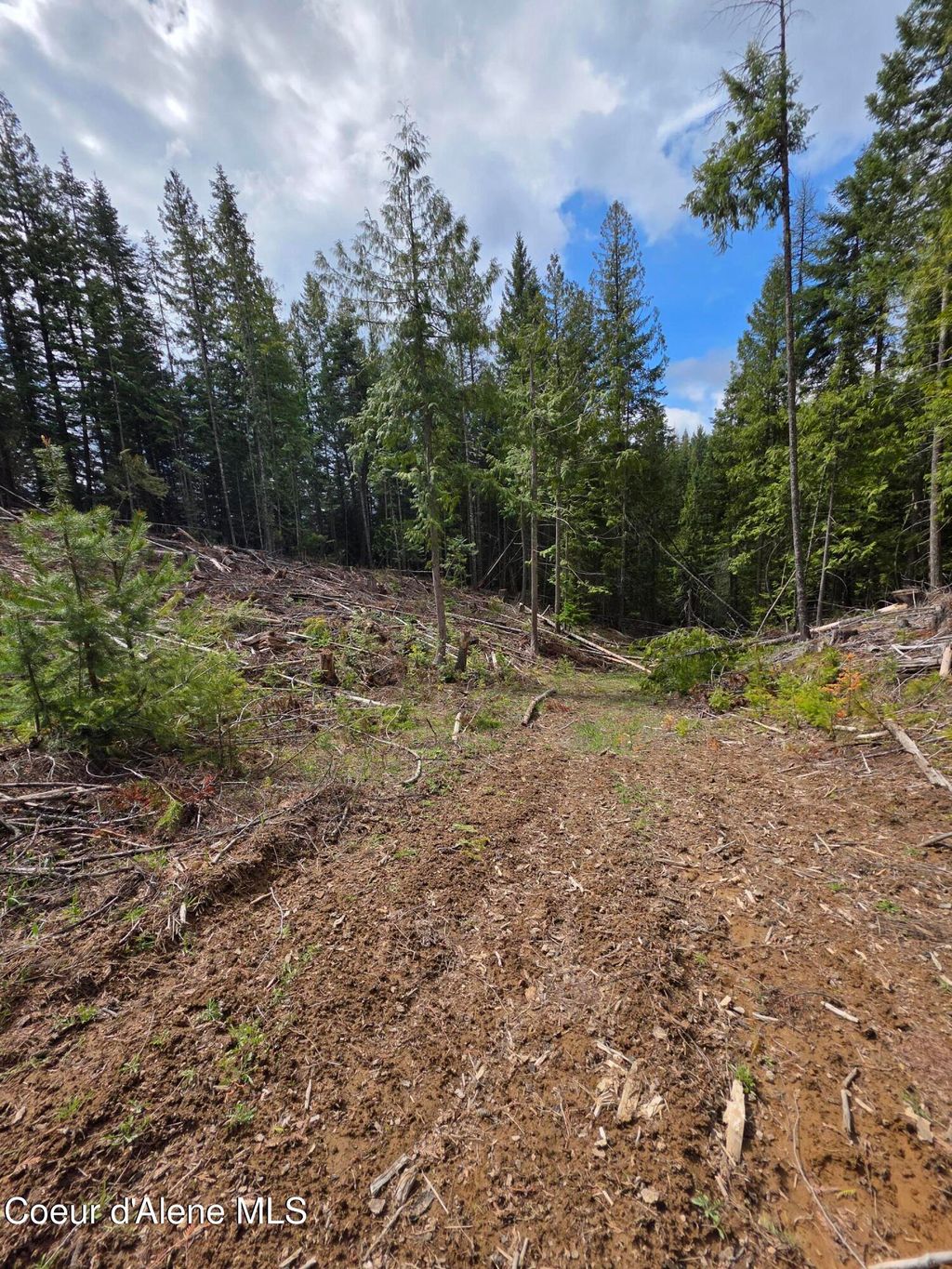 Photo of NNA Cabin Loop Loop, St. Maries, ID 83861 (MLS # 26-4265)
