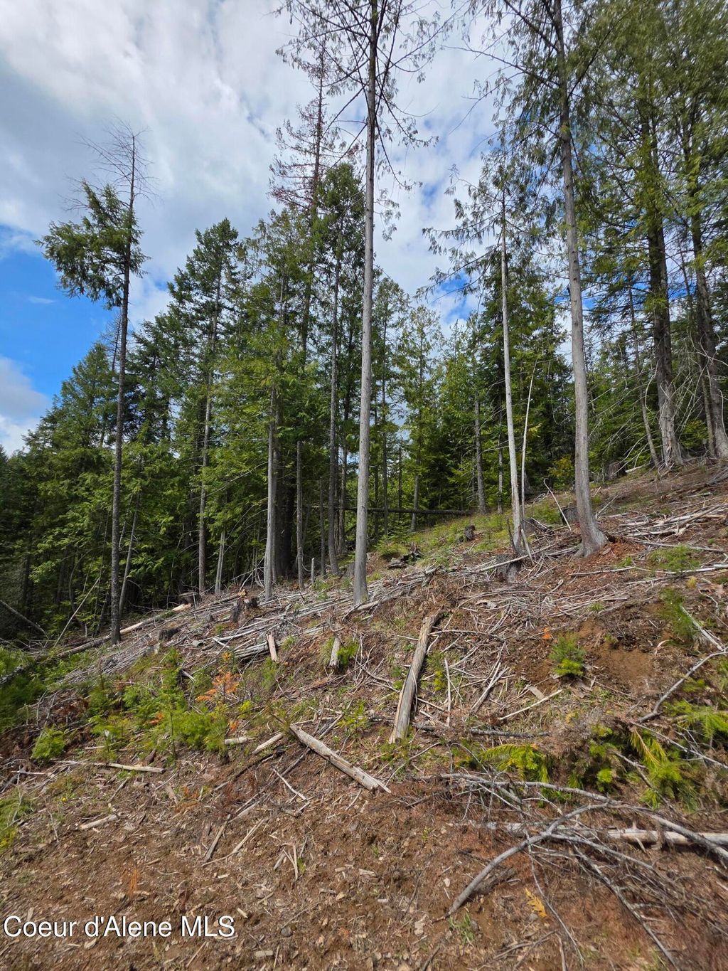 Photo of NNA Cabin Loop Loop, St. Maries, ID 83861 (MLS # 26-4265)
