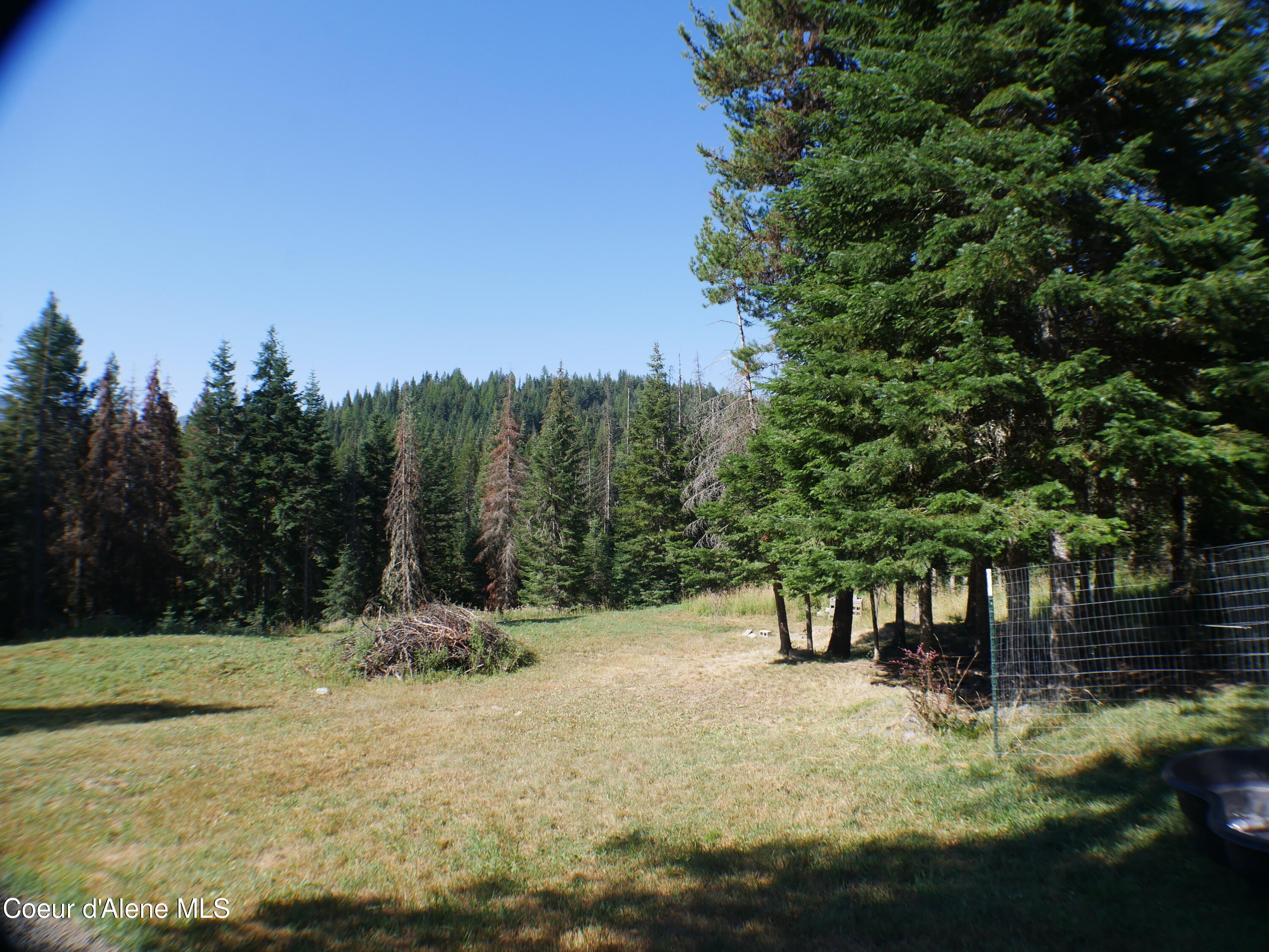 2820 Little Carpenter Creek Road, Fernwood, Idaho image 3