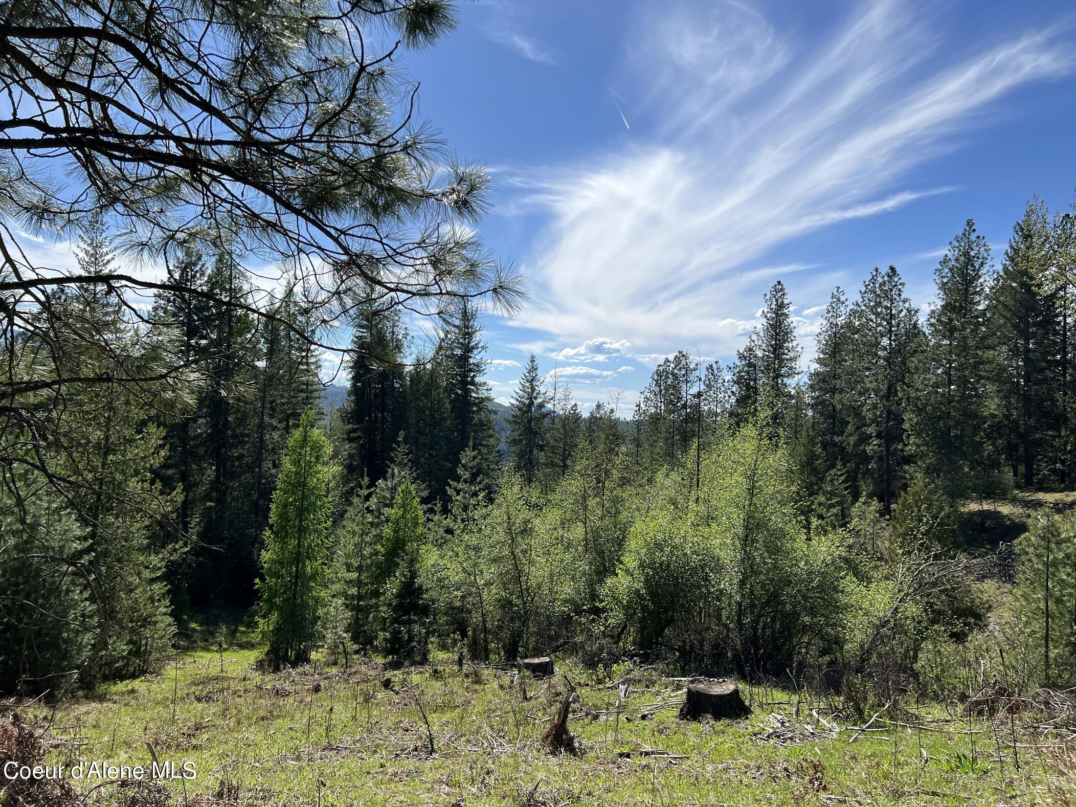 NNA Frosty Lane Lot I, Pinehurst, Idaho image 15