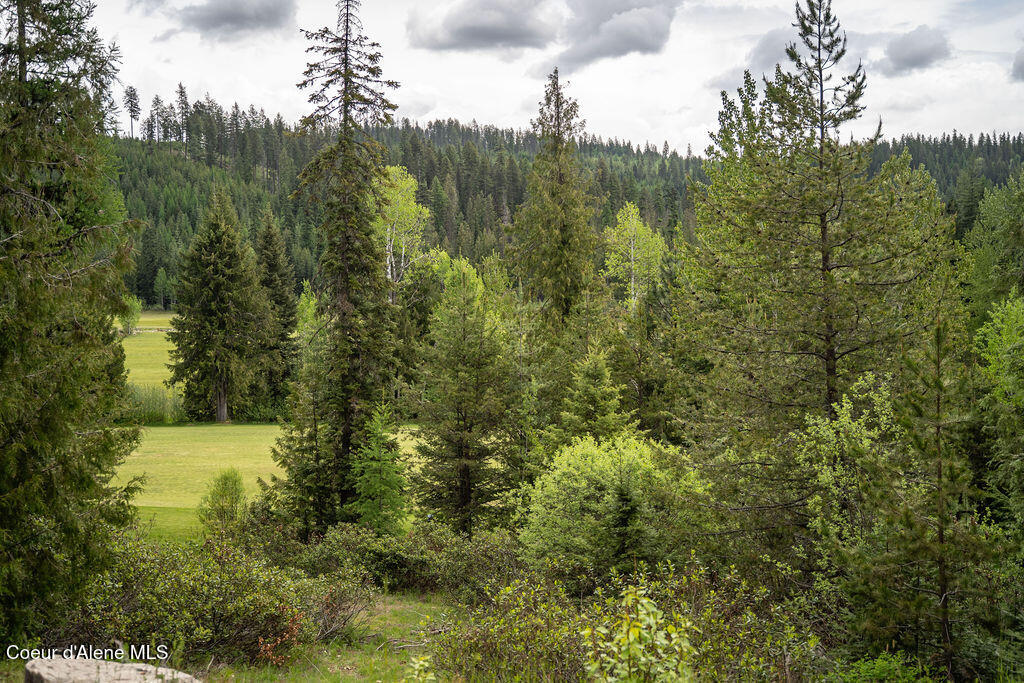 207 Long Lot#4 Dr, Priest Lake, Idaho image 22