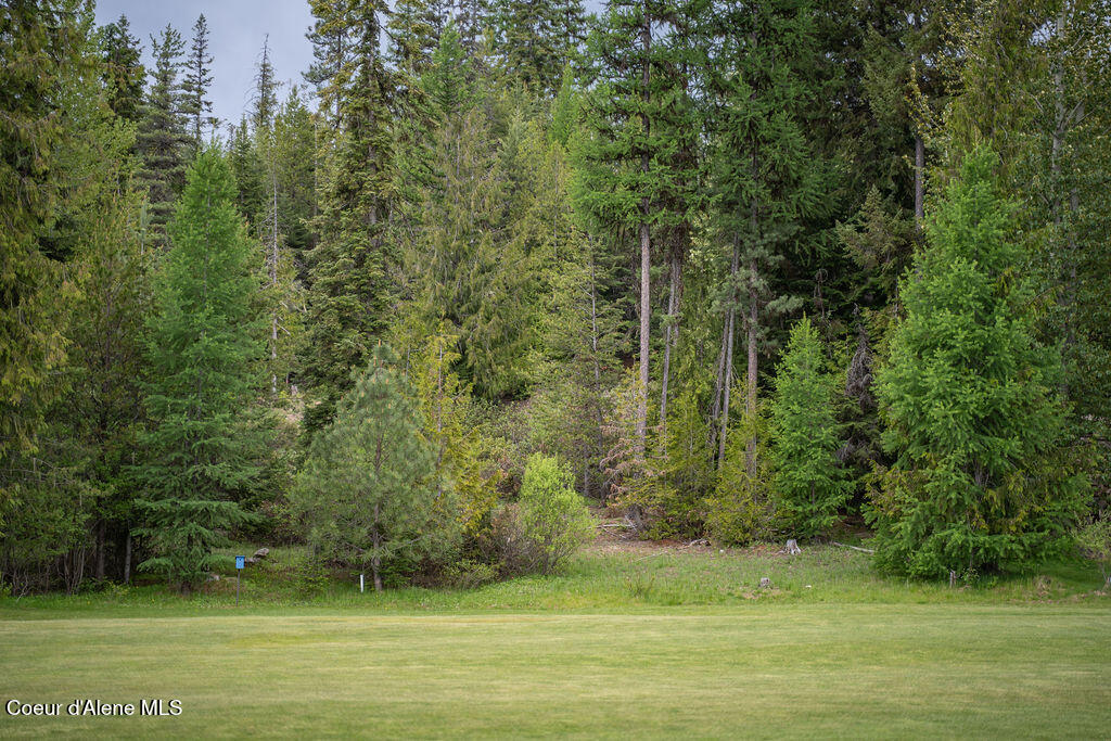 207 Long Lot#4 Dr, Priest Lake, Idaho image 12