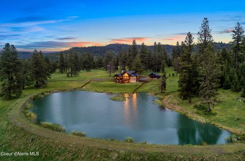 Photo of 337 Coon Creek Creek, Plummer, ID 83851 (MLS # 25-1790)