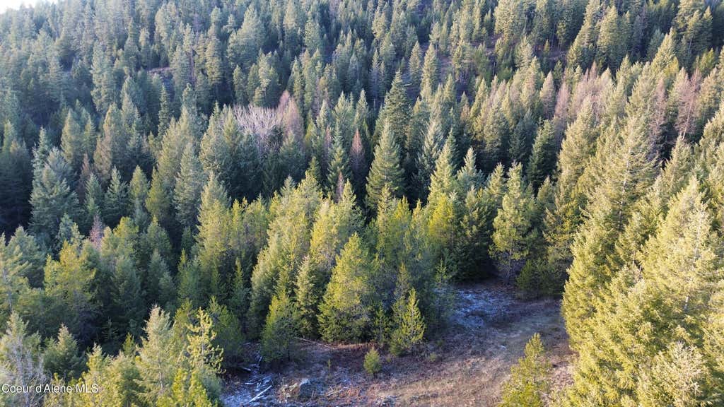 Photo of L7 B1 KELSO WOODS DR, Athol, ID 83801 (MLS # 26-8063)