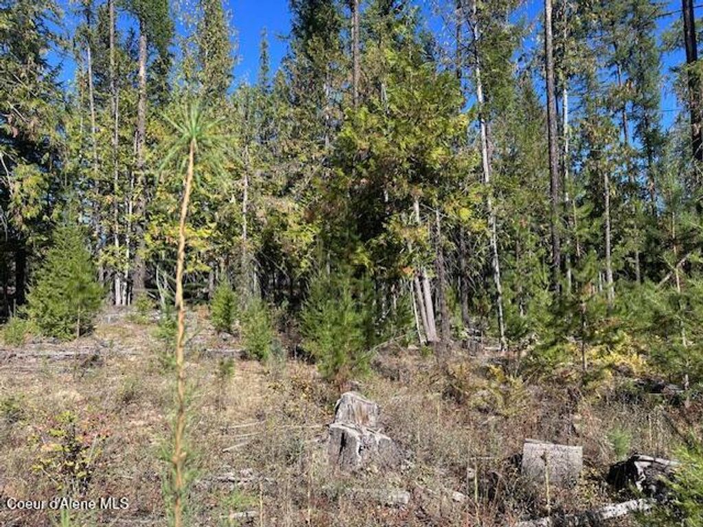 Photo of Lot 3 Flat Creek Creek, St. Maries, ID 83861 (MLS # 25-10144)