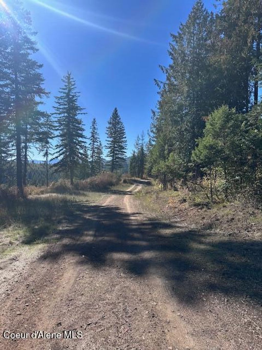 Photo of Lot 3 Flat Creek Creek, St. Maries, ID 83861 (MLS # 25-10144)