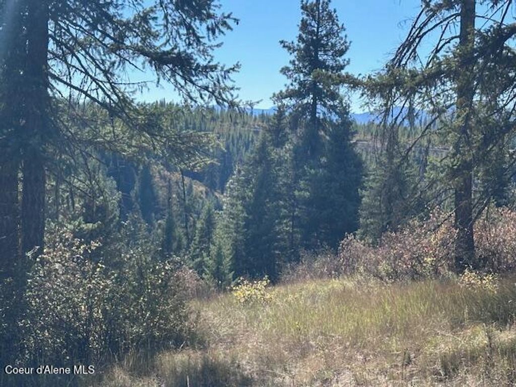 Photo of Lot 3 Flat Creek Creek, St. Maries, ID 83861 (MLS # 25-10144)