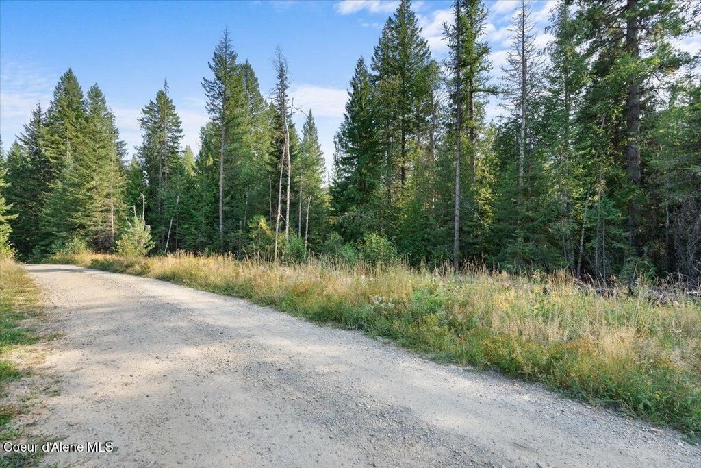 Photo of NNA Beaver Pond Trl, Priest River, ID 83856 (MLS # 25-5270)