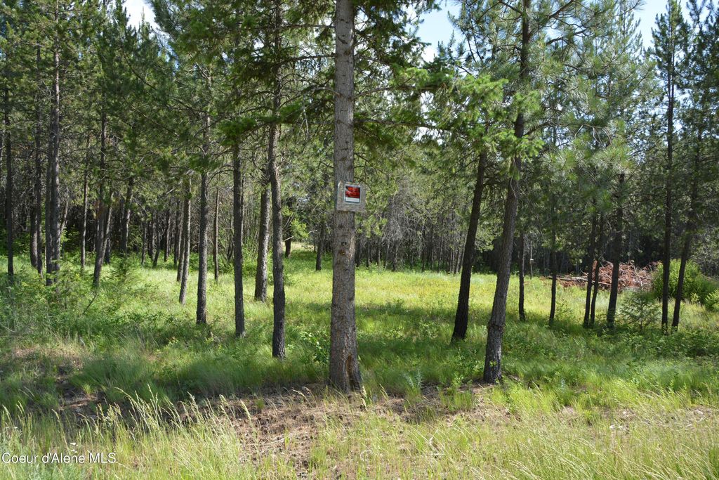 Photo of NKA Sylvan, Athol, ID 83801 (MLS # 26-4619)