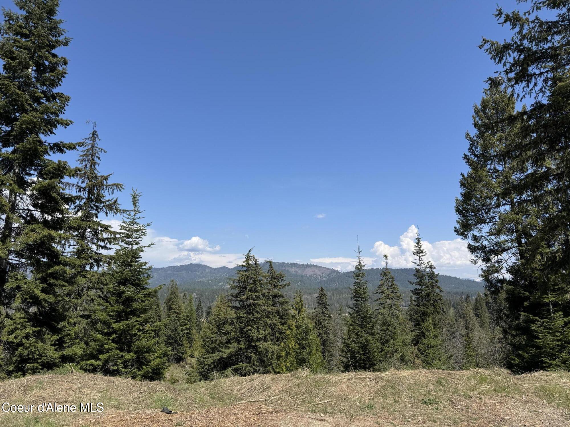 137 Bates Ln, Oldtown, Alaska image 15