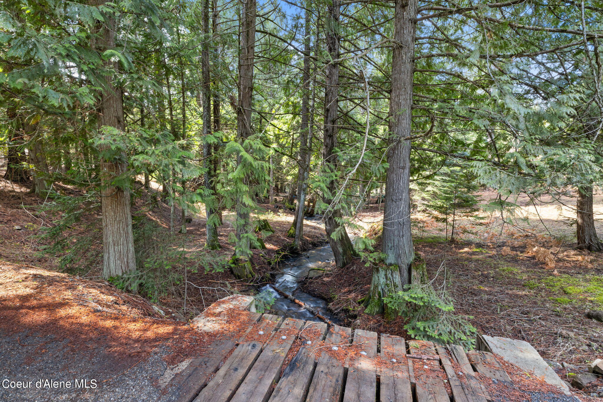14121 S Highway 97, Harrison, Idaho image 10
