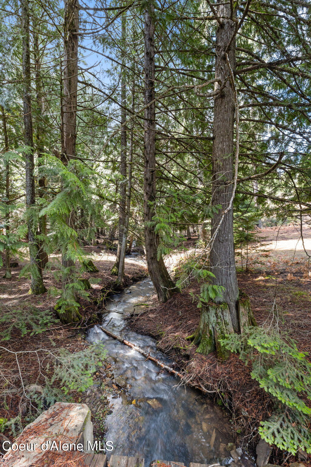 14121 S Highway 97, Harrison, Idaho image 44