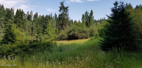 Homes For Sale - TBD Sunnyside<br/> Kootenai County, Coeur d'Alene, ID 83814