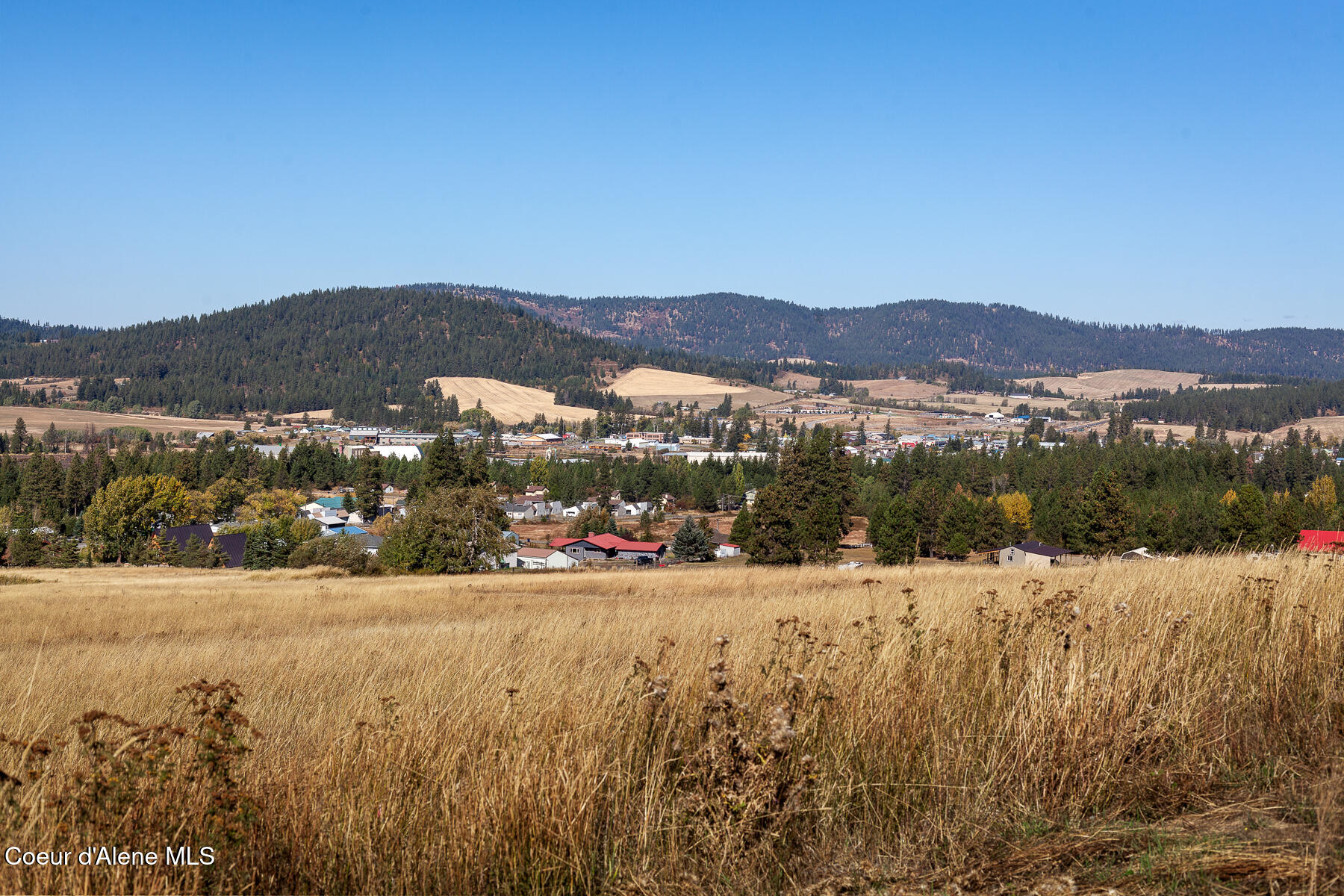 Thimbleberry Lane, Plummer, Idaho image 15