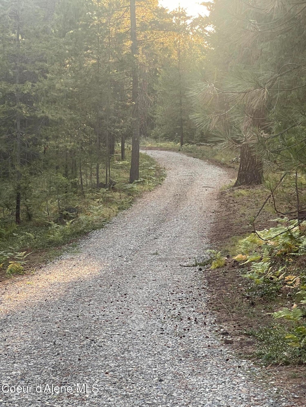 Photo of NNA Wolverine, Moyie Springs, ID 83845 (MLS # 26-9427)