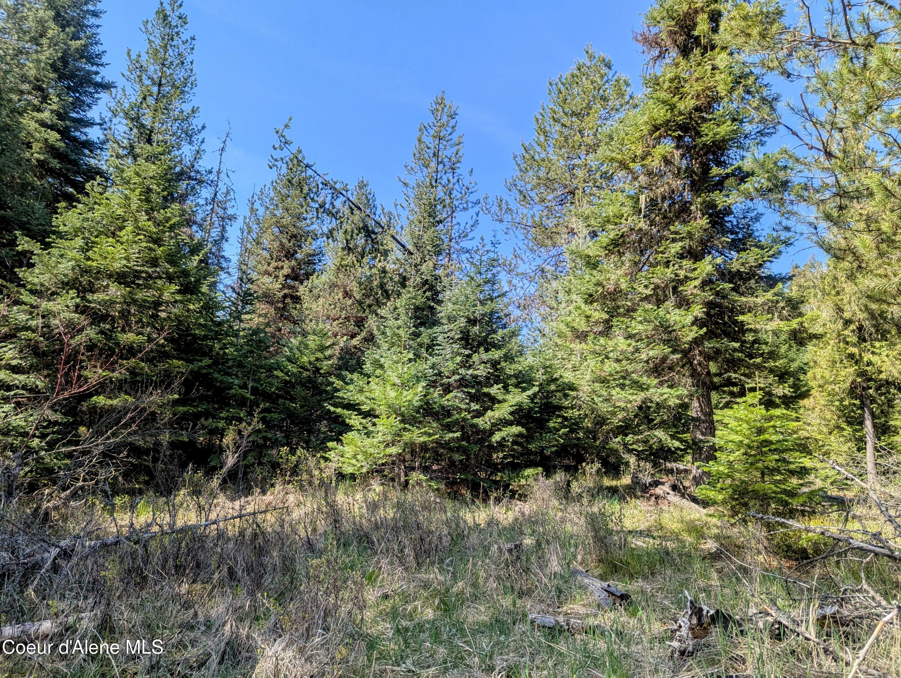 NKA Sheep Creek Rd, Santa, Alaska image 18