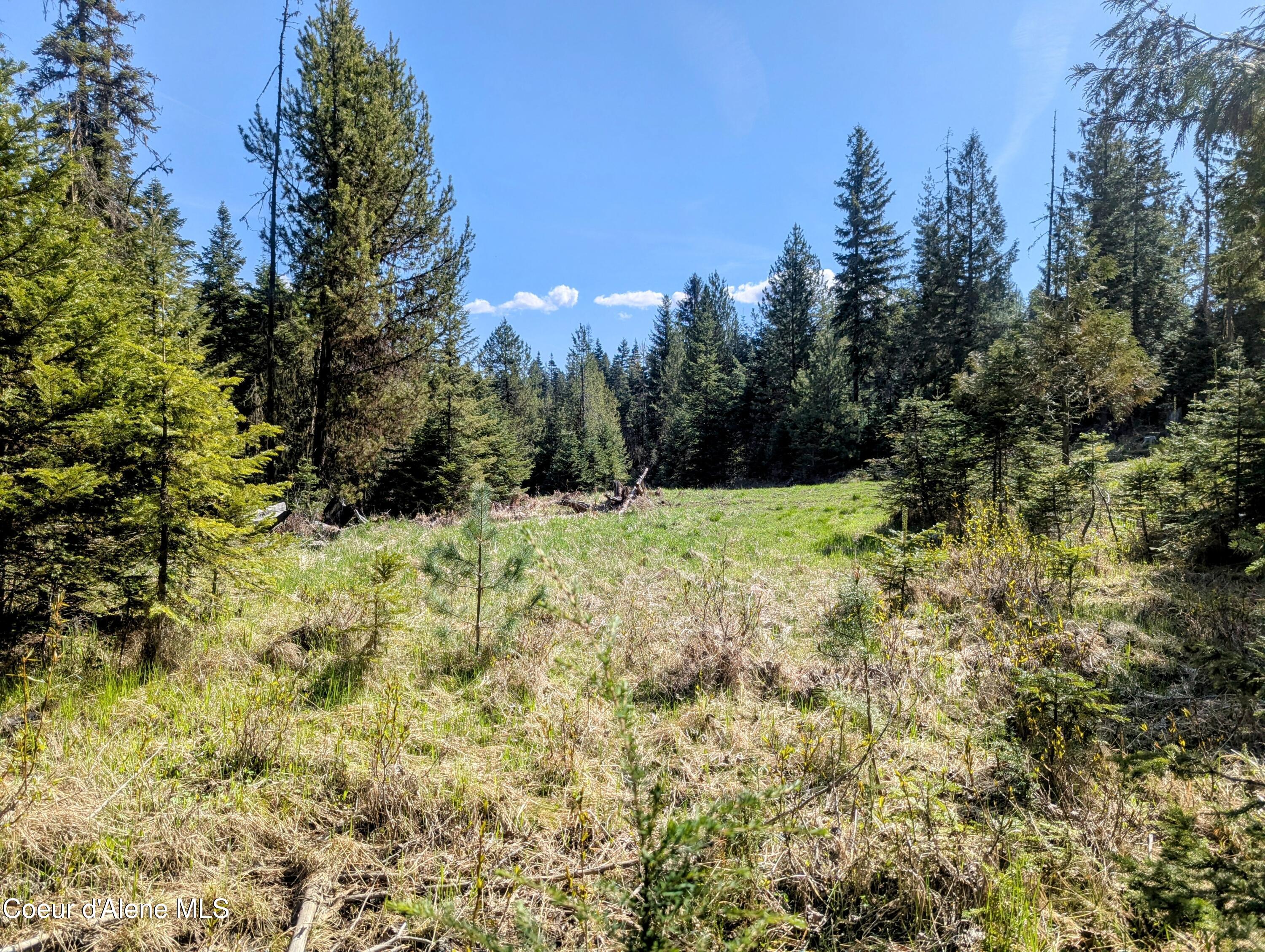 NKA Sheep Creek Rd, Santa, Alaska image 1