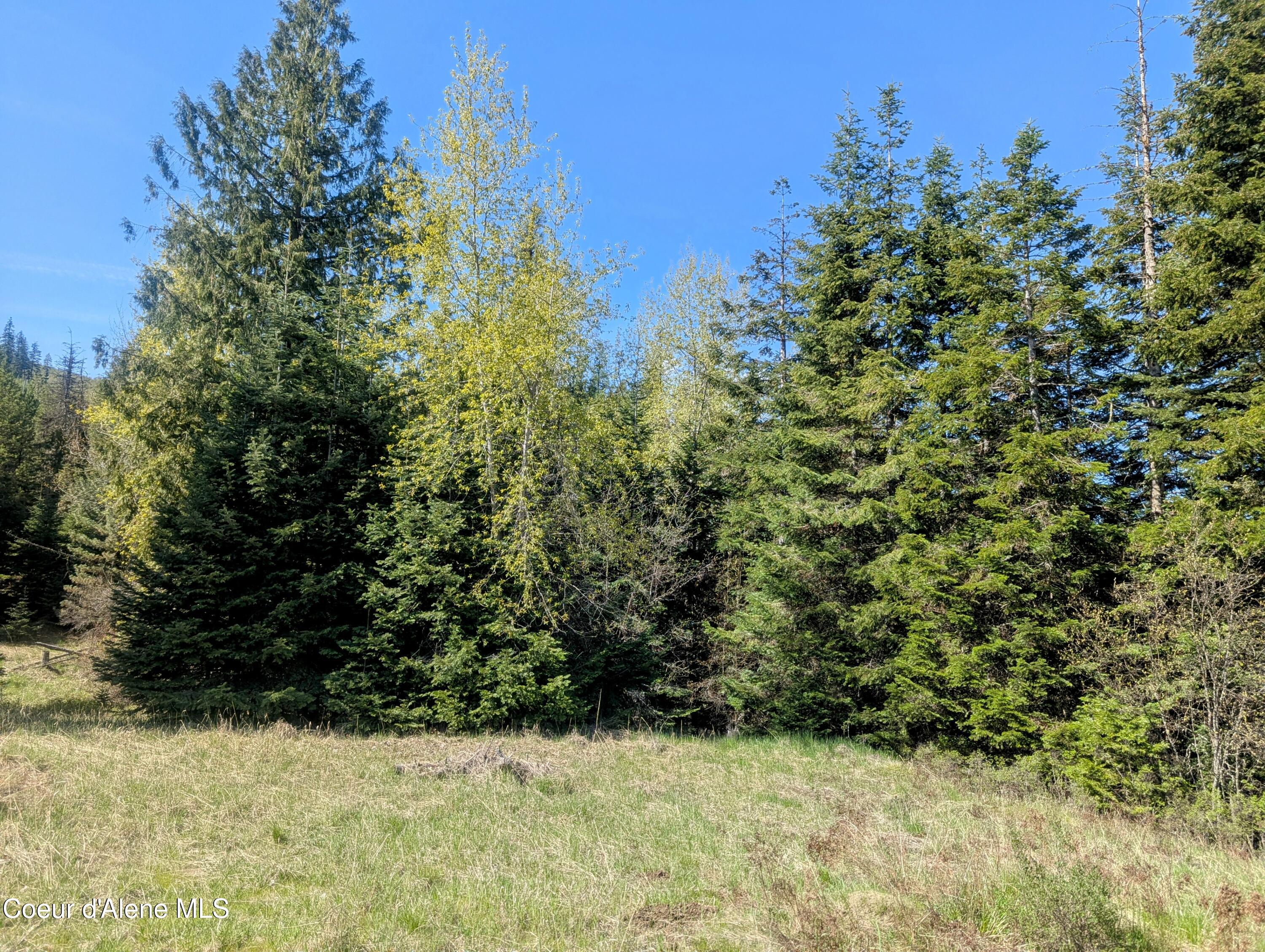 NKA Sheep Creek Rd, Santa, Alaska image 2