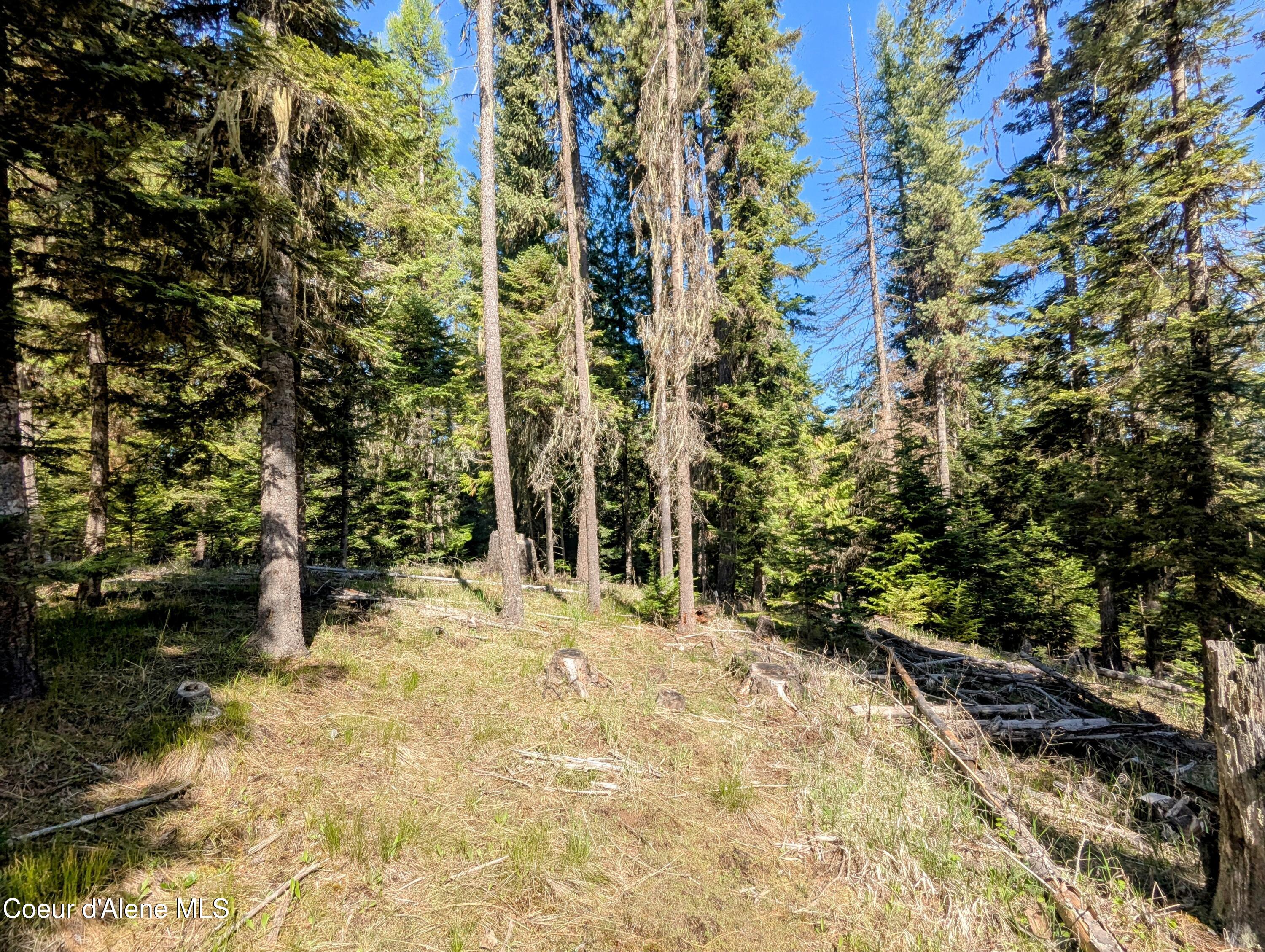NKA Sheep Creek Rd, Santa, Alaska image 13