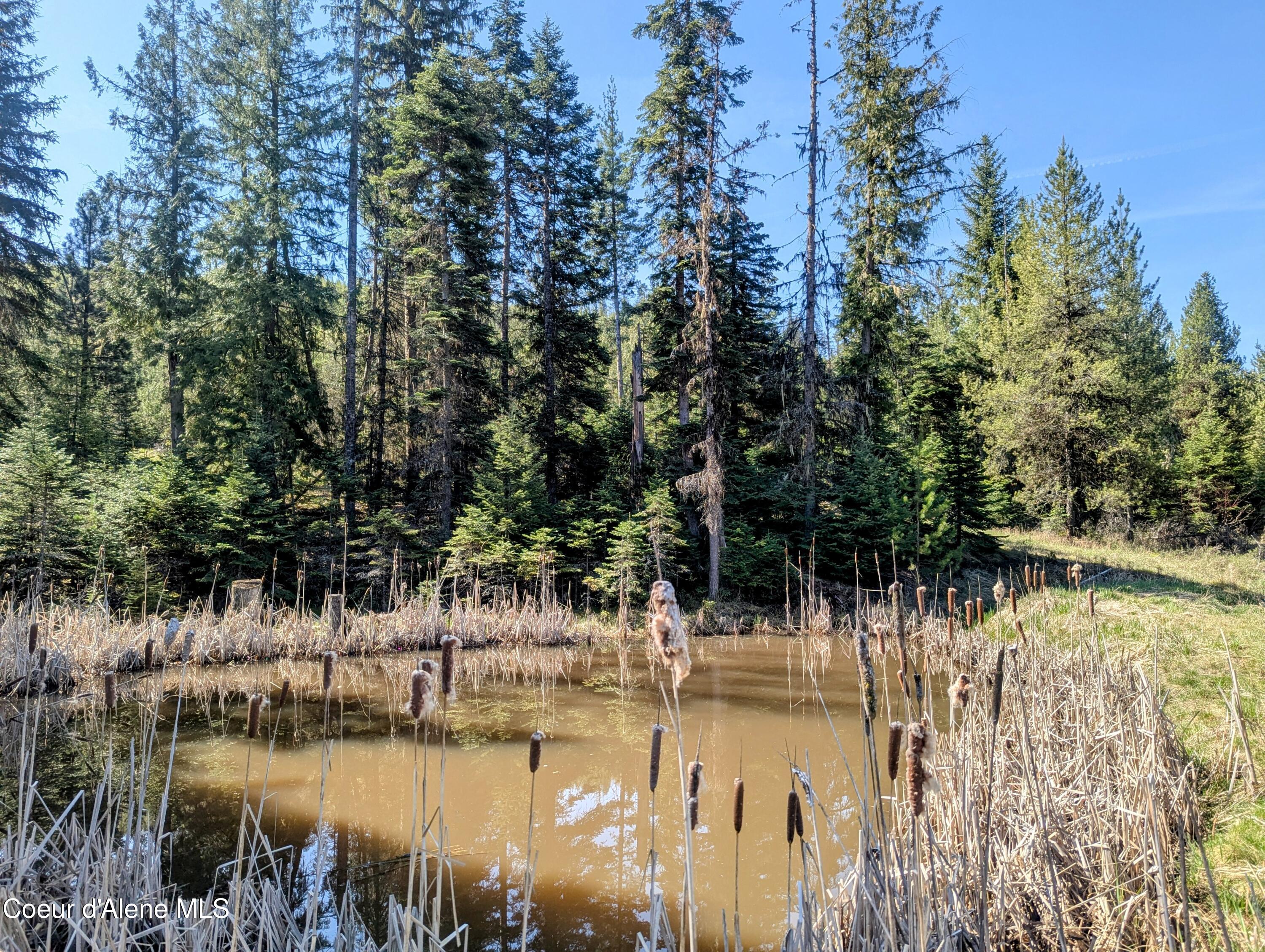 NKA Sheep Creek Rd, Santa, Alaska image 6