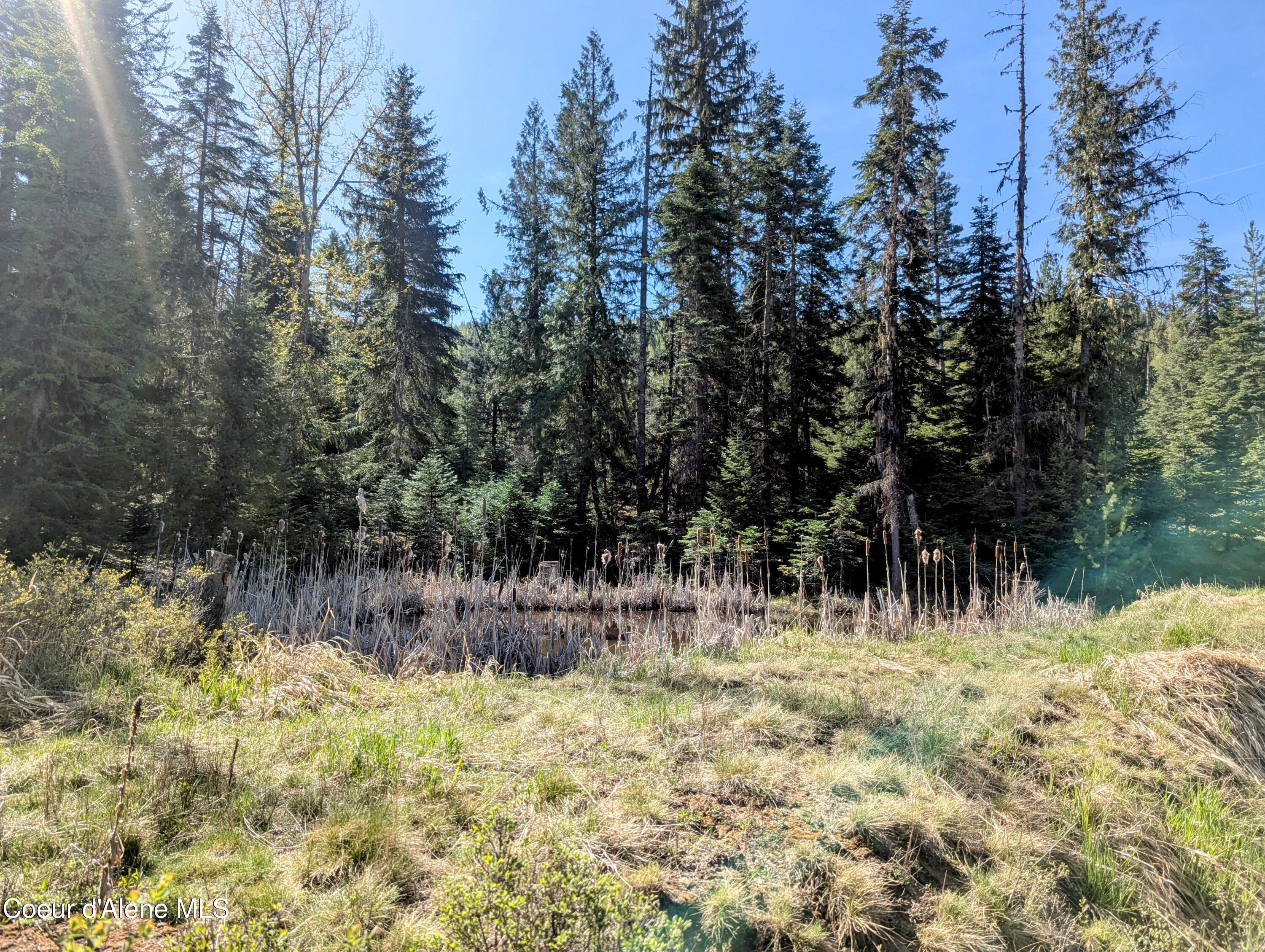 NKA Sheep Creek Rd, Santa, Alaska image 19