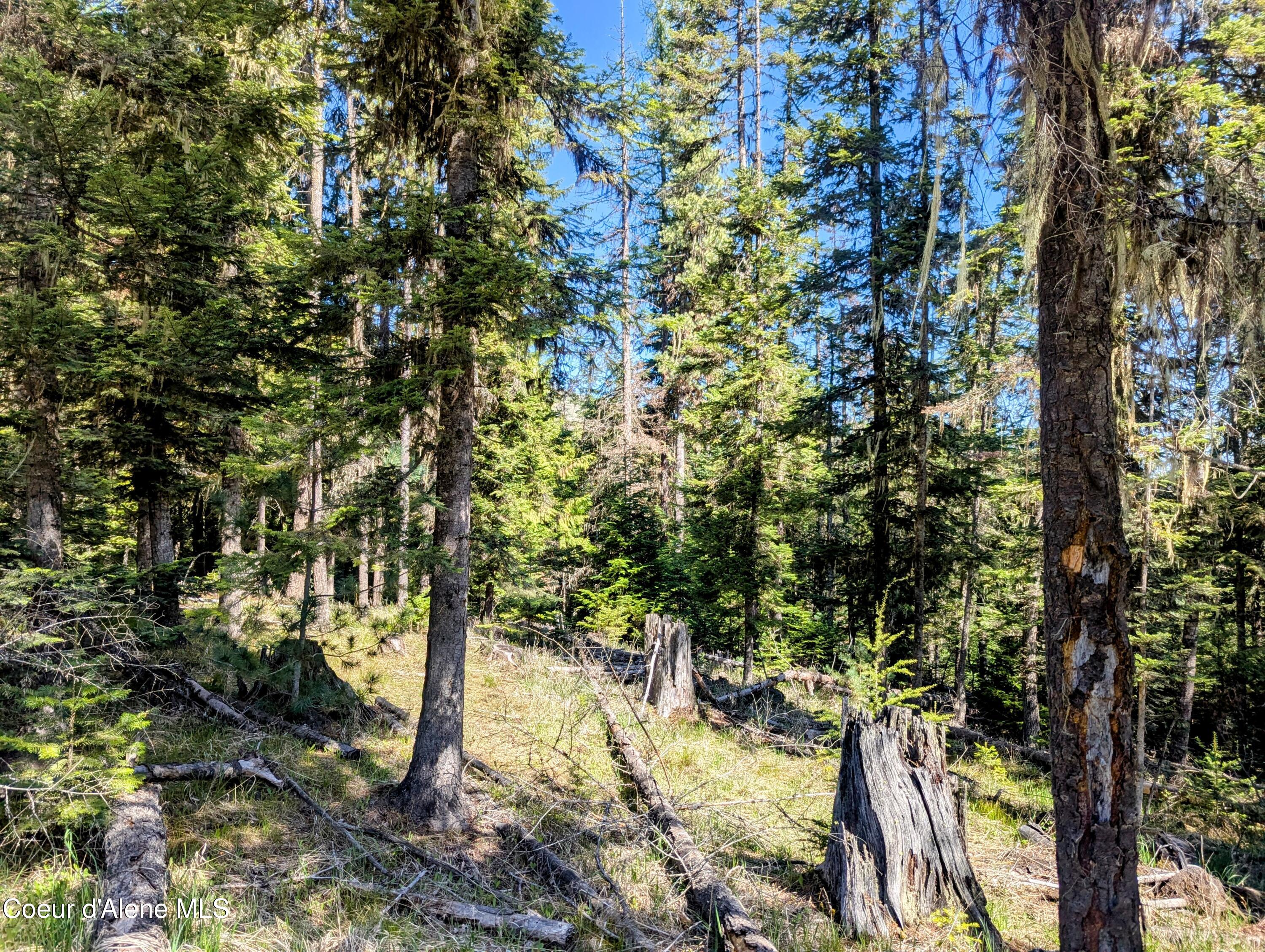 NKA Sheep Creek Rd, Santa, Alaska image 14